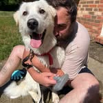 Steven Armentrout - @steven_armentrout - Instagram