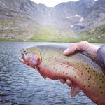 steven armijo - @outdoorsy_steve - Instagram