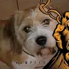 Steve Svenja Arndt - @steve.svenja.arnd - TikTok