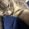 Steve Arness - @steve.arness - TikTok