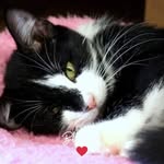 Steve Arnett - @steve.arnett.77920 - Instagram