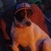 Steve Arneson - Facebook