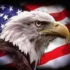 Steve Arneson - @steve.arneson2 - TikTok