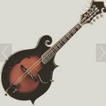 Steve Arnold - @_steve_arnold_ - Instagram