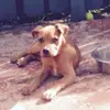 stevearrantsbskys - @stevearrantsbskys - TikTok
