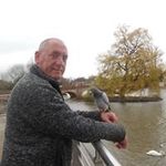 Steve Arrowsmith - @steve.arrowsmith.9 - Instagram