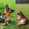 Steve Arrowsmith - @steve.arrowsmith - TikTok