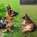 Steve Arrowsmith - Facebook