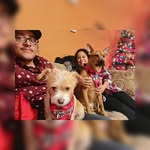 Steve Arroyo - @ek_steve_00 - Instagram