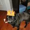 Steve Arsenault - @steve.arsenault - TikTok
