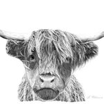 steve_art - @stevewilliams__art - Instagram