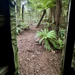 Steve Arthur - @stevew_arthur - Instagram