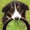 Steve Arthur - @steve.arthur76 - TikTok
