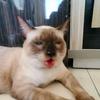 Steve_Artz - @steve_artzy - TikTok