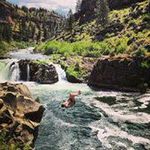 Steve Skarvinko - @steveskarvinko - Instagram