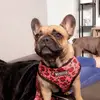 Steven Asbury - @stevenasbury - TikTok