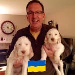 Steve Asche - @steve_asche - Instagram