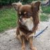 Steven Aschoff - Facebook