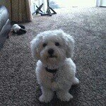Steve Ashcroft - @procurechange - Instagram