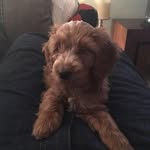 Steve Ashman - @stevenwc6 - Instagram