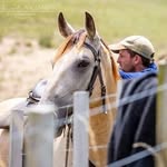 Steve Ashman - @ashman278 - Instagram