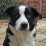 Steve Ashworth - Facebook