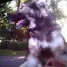 Steve Ashworth - @steveashworth621 - TikTok