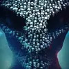 steveashworth261 - @steveashworth261 - TikTok
