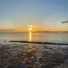 SAskins - @steve.askins - TikTok