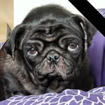 Steve Askin - @steven.k.askin - Instagram