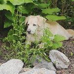Steve Askin - @steveaskin1 - Instagram