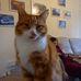 Steve Askins - Facebook