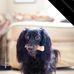 Steve Asmussen - Facebook
