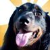 Steve Asmussen - Facebook