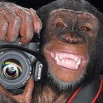 Steve Aspery - @chimptography - Instagram
