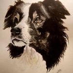 Steve Asquith - @steve.asquith.79 - Instagram