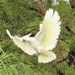 Steve Asquith - @steve.asquith.7 - Instagram