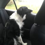 Steve Asquith - @steveasquith - Instagram