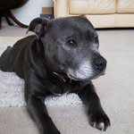 Steve Aston - @steve.aston.18007 - Instagram