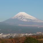 Steve Atchley - @atch.genki - Instagram