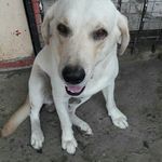 Steve Eliecer Atencio  Aizprua - @steveeliecer - Instagram