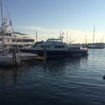 Steve Atherton - @steve.atherton - Instagram