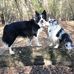 Steven L. Athey - Facebook