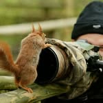 Steve Atkin - @atkin.steve - Instagram