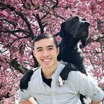 Steve & Atlas🐶 - @stvnatlas - Instagram