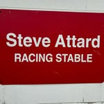 Trainer Steve Attard - @steveattardracingstables - Instagram