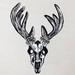 Outdoor Addict NC - @steve_atwater - Instagram