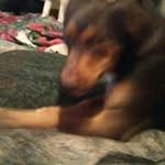steven dion atwater - @chaos3030 - Instagram