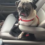 Steve Atwell - @satwell68 - Instagram