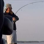 Steve Atwood - @steve.atwood.562 - Instagram